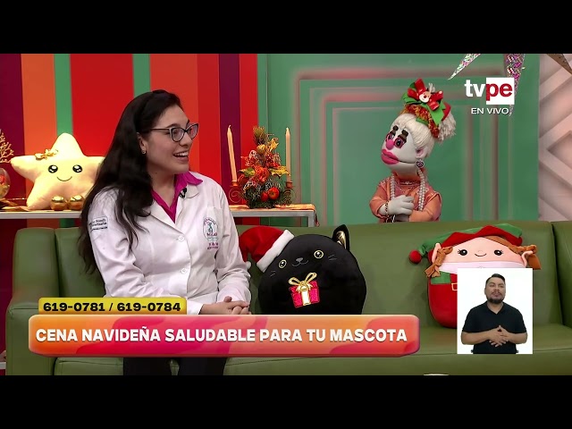 ⁣Navidad: Sigue estos consejos para alimentar a tu mascota en fiestas