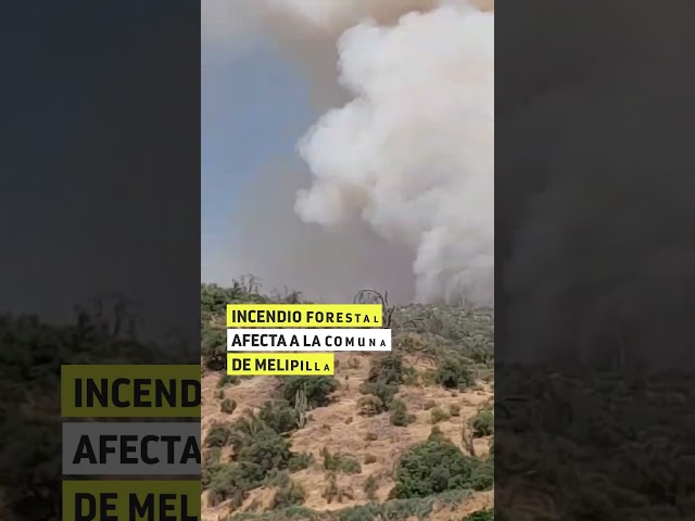 ⁣Alerta roja por incendio forestal en Melipilla