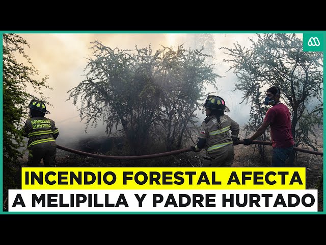 ⁣Alerta roja por incendio forestal en Melipilla y Padre Hurtado