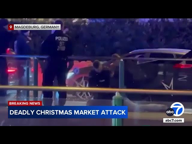 ⁣Germany Christmas market attack: What we know about the lone suspect