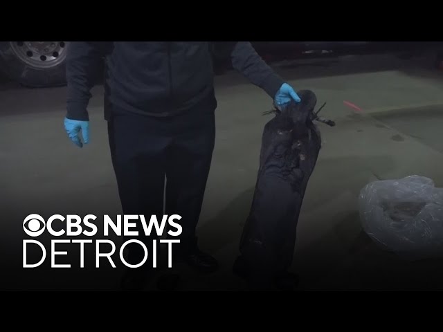 ⁣Lithium-ion battery to blame for scooter fire in Ann Arbor