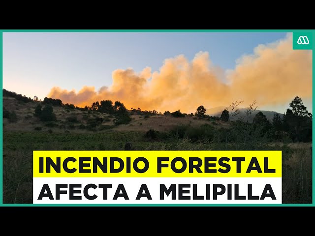 ⁣Incendio forestal en Melipilla: Así se desarrolla el siniestro