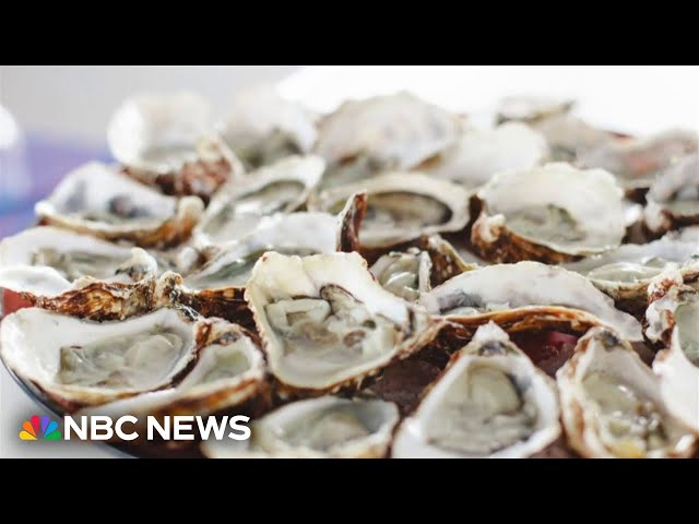 ⁣Dozens reported sick with norovirus after eating raw oysters at Los Angeles event