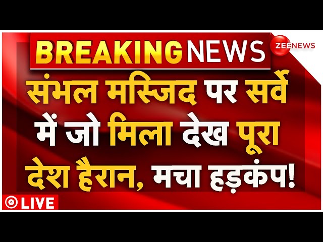 ⁣Big Decision On Jama Masjid LIVE:संभल पर सर्वे में जो मिला देख पूरा देश हैरान,मचा हड़कंप! | Breaking