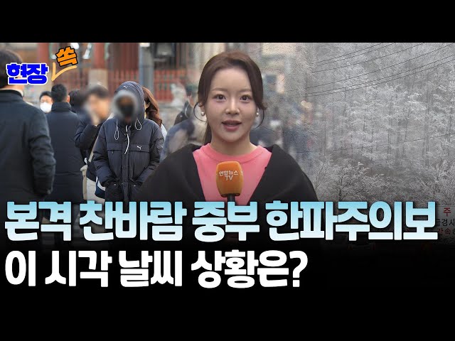 ⁣[현장쏙] 오후까지 곳곳에 눈…본격 찬바람 중부 한파주의보 | 이 시각 날씨 상황은? / 연합뉴스TV (YonhapnewsTV)