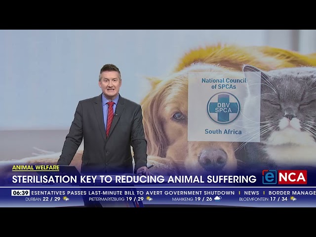 ⁣Animal welfare | Sterilisation key to reducing animal suffering