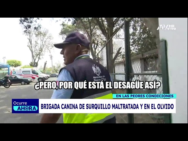 ⁣¡Repudiable maltrato! Brigada canina de Surquillo vive en las peores condiciones