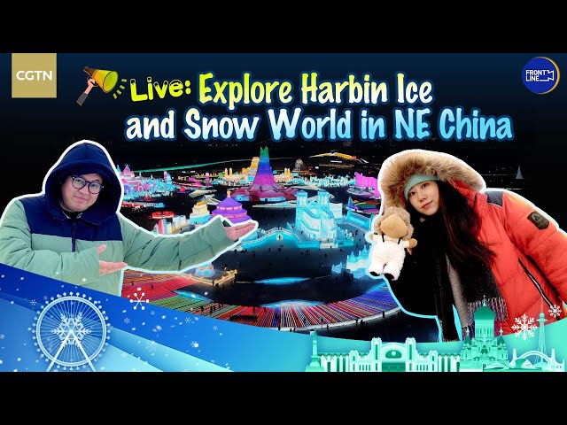 ⁣Live: Explore Harbin Ice and Snow World in NE China