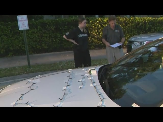 ⁣Miami police warn against Christmas lights on cars