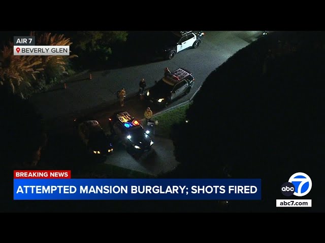 ⁣Shots fired during burglary attempt at multi-million dollar LA mansion