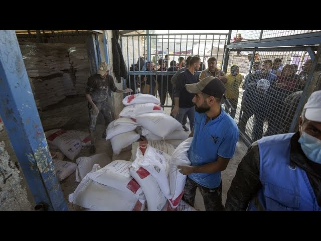 ⁣Le chef de l'UNRWA juge décevante la décision de la Suède de mettre fin à son "soutien de 