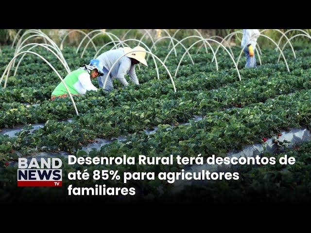 ⁣Balanço do ano do Ministério do Desenvolvimento Agrário | BandNews TV