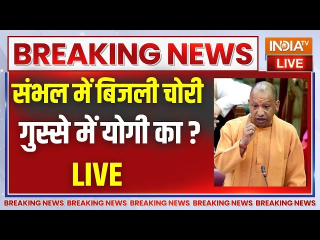 ⁣CM Yogi Speech On Sambhal : संभल में बिजली चोरी पर गुस्से में योगी का बड़ा बयान ! UP News