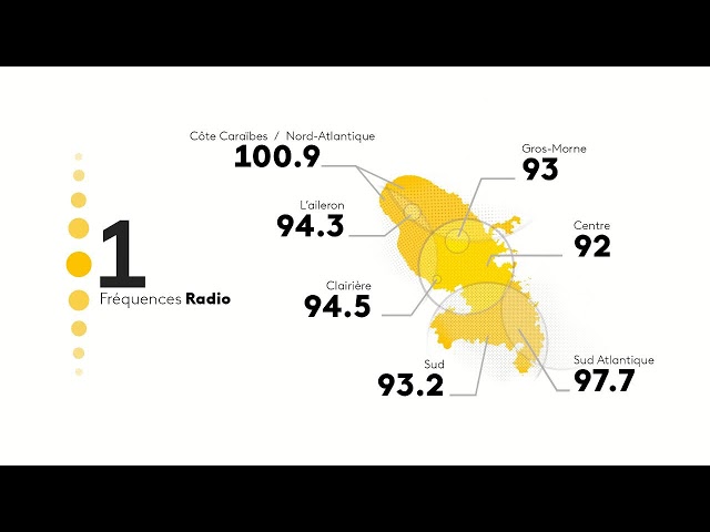 ⁣Diffusion en direct de Martinique la 1ère