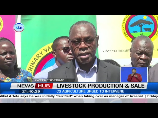 ⁣Livestock production and sale: CS agriculture urged to intervene as farmers lament exploitation