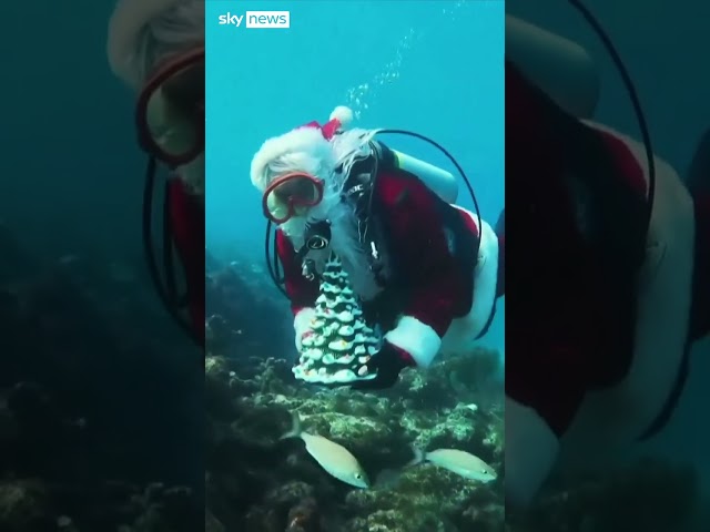 ⁣Father Christmas spotted scuba diving in Florida