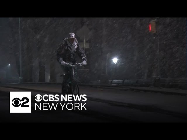 ⁣Central Park visitors thrilled by snowfall