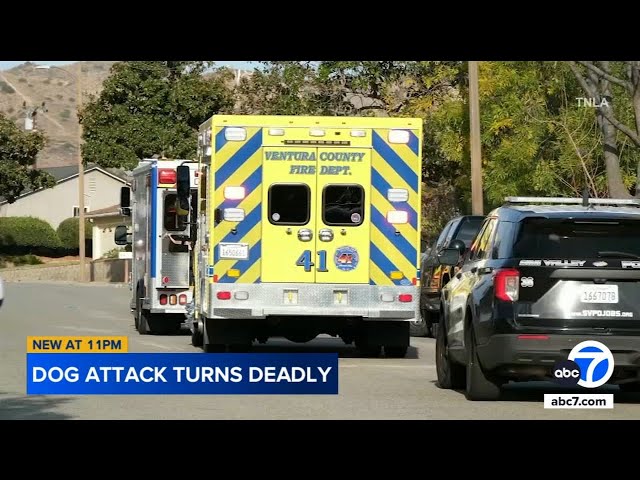 ⁣Violent dog attack in Simi Valley turns deadly after owners intervene