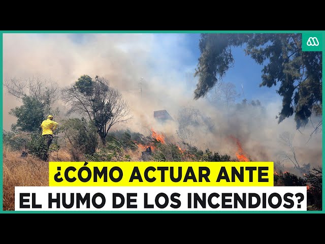 ⁣¿Cómo actuar ante el humo de los incendios forestales?