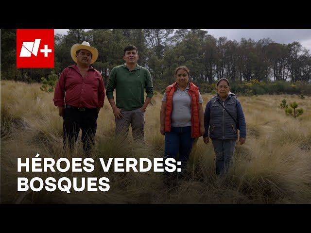 ⁣Héroes Verdes EP4 - Bosques | Nmas