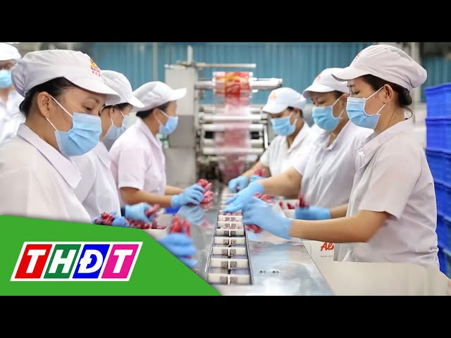 ⁣Năm 2025, TP.HCM dự tính cần 330.000 lao động | THDT