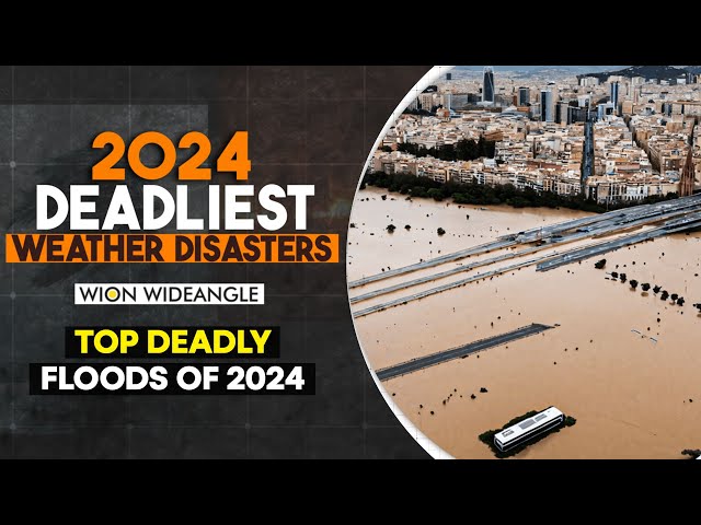 ⁣From Spain Floods To Wayanad Landslides: Biggest Flood Disasters 2024 | WION Wideangle