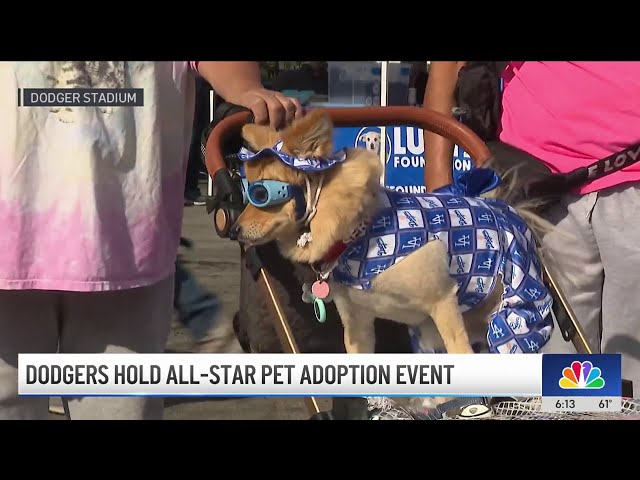 ⁣Dodgers hold all-star pet adoption event