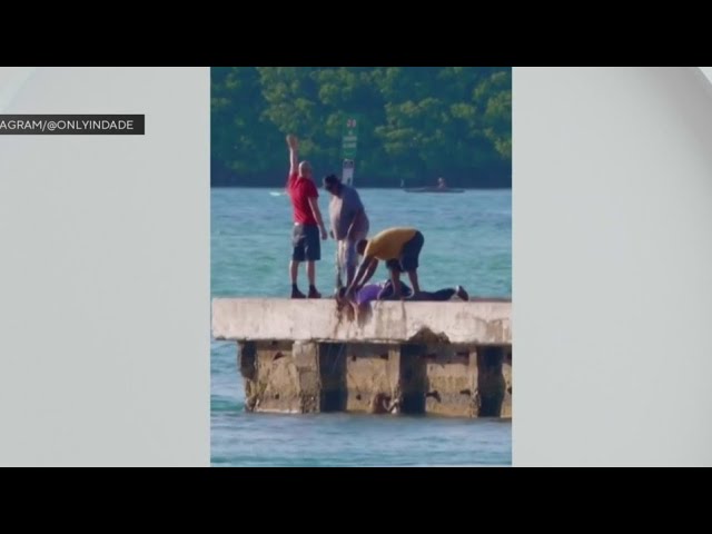 ⁣Caught on camera: Dog rescued after falling into Haulover Inlet