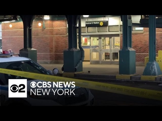 ⁣2 men shot on subway platform in Brooklyn