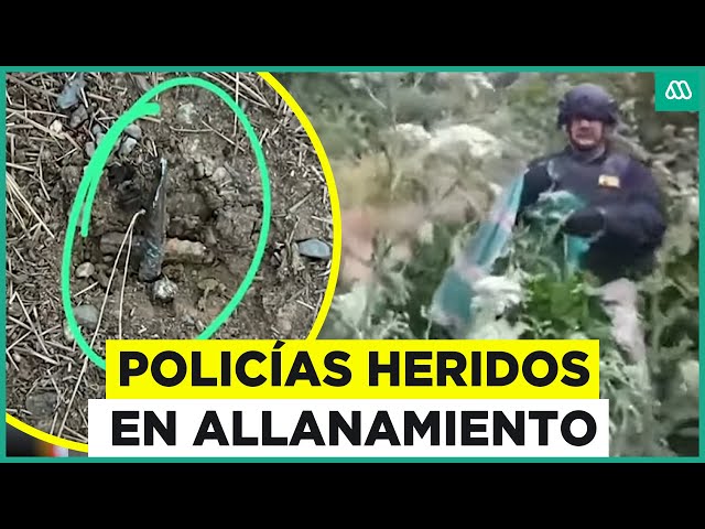 ⁣Cuatro policías heridos durante allanamiento: Instalaron puntas de fierro en plantación de marihuana