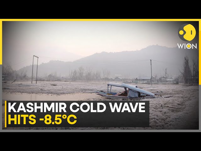 ⁣Cold Wave Sweeps Kashmir Valley, Temperatures Drop to -8.5°C in Srinagar | World News