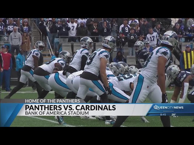 ⁣Panthers preparing for a chilly game against the Cardinals