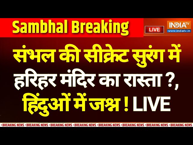 ⁣Sambhal Big Breaking News LIVE : भूल-भुलैया, सुरंग और तहखाना...आखिरकार मिल गया 'हरिहर मंदिर