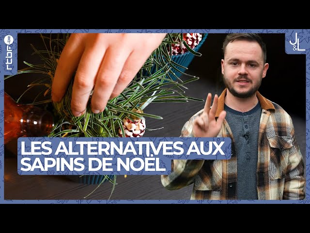 ⁣Les alternatives aux sapins de Noël | Jardins et Loisirs