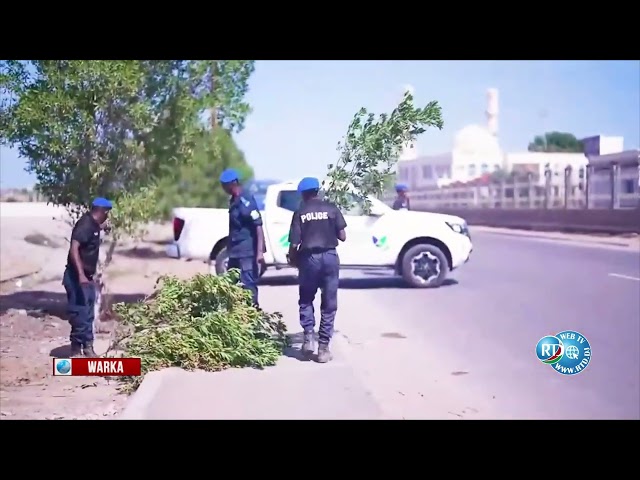 ⁣Police Environnementale : Opération de nettoyage et de plantation d’arbres sur la route de Nagad