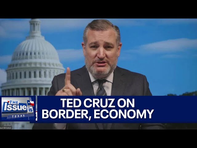 ⁣Ted Cruz on immigration and the economy | Texas: The Issue Is