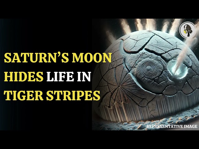 ⁣Saturn's Moon Hides Life In Tiger Stripes | WION Podcast