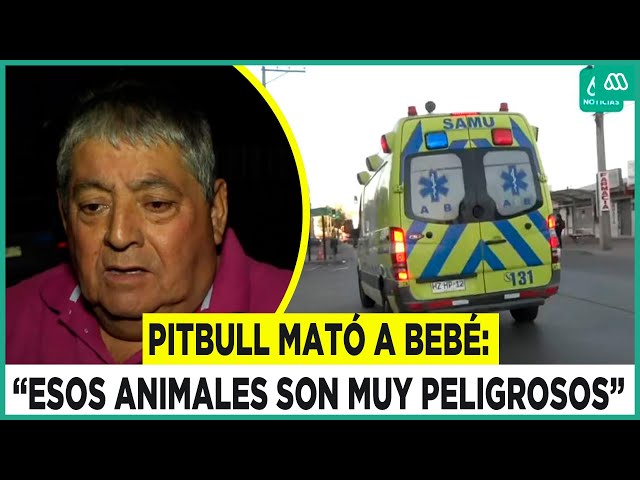 ⁣"Esos animales son muy peligrosos": Abuelo de bebé que falleció por ataque de pitbull