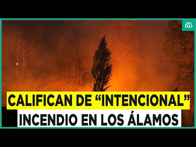 ⁣Alerta roja por incendio forestal en Los Álamos: Hay un detenido