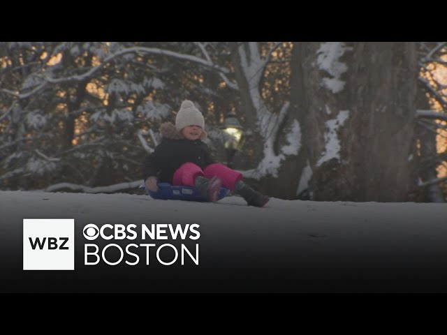 ⁣Neighbors take down fence blocking sledding hill in Wellesley