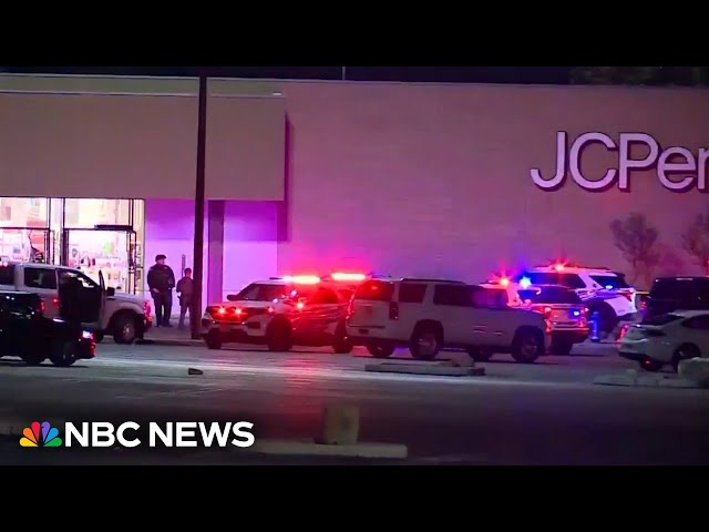 ⁣Man shot, killed by police after driving into Texas mall during high-speed chase