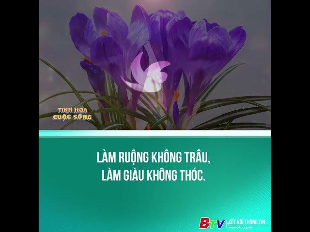 ⁣Làm ruộng không trâu, làm giàu không thóc