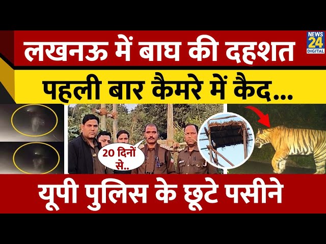 ⁣Lucknow: Forest Department की 25 Team दे रही पहरा, Rehmankhera में जगह-जगह बनाया हए Watch Tower | UP