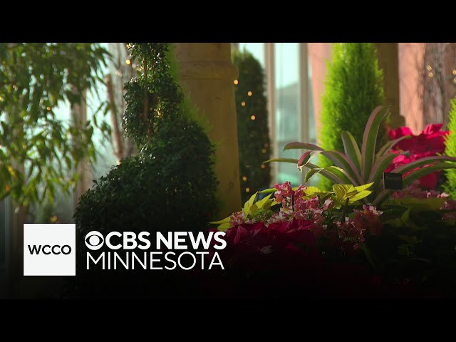 ⁣“Winter's Blooming Wonderland” comes to Como Zoo Conservatory