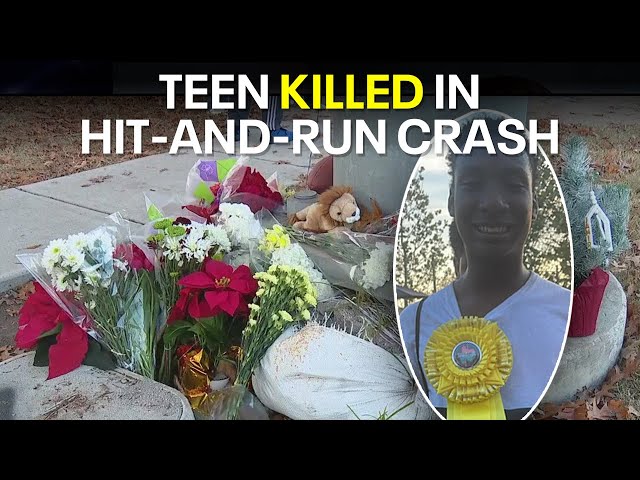 ⁣McKinney 14-year-old killed in hit-and-run crash, driver still on the loose