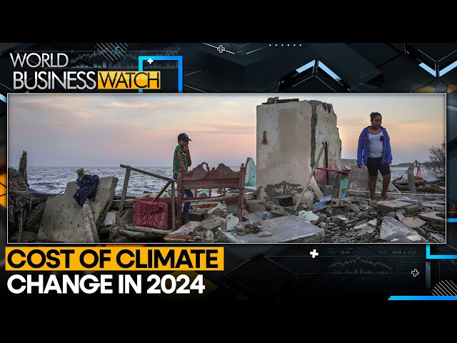 ⁣Climate Change Could Cost Global Economy $38 Tn by 2049: Report | World Business Watch