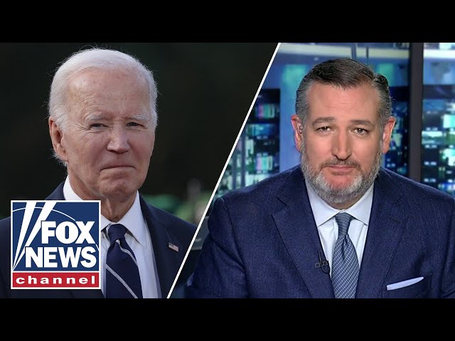 ⁣Biden admin is trying to ‘gaslight’ the American people: Ted Cruz