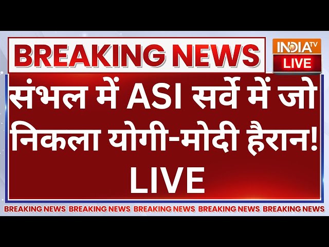 ⁣ASI Survey in Sambhal LIVE: संभल में ASI सर्वे में जो निकला योगी-मोदी हैरान! CM Yogi