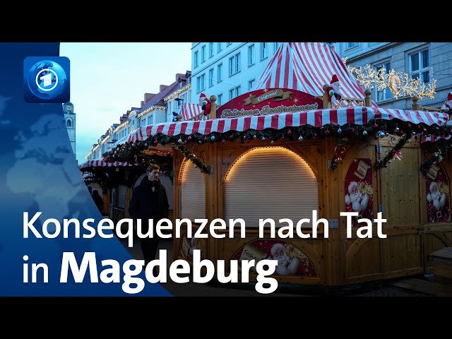 ⁣Anschlag auf Weihnachtsmarkt: Konsequenzen nach Tat von Magdeburg