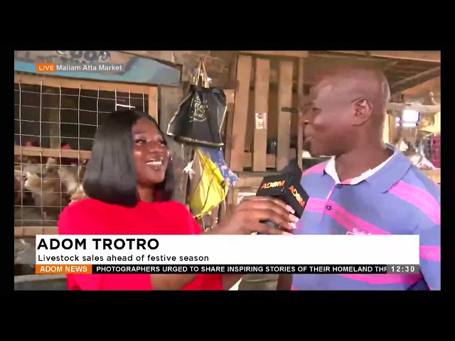 ⁣Adom Trotro: Livestock sales ahead of festive season - Premtobre Kasee on Adom TV(23-12-24)